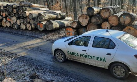 Garda Forestieră Timișoara: 23 sancțiuni contravenționale în 10 zile