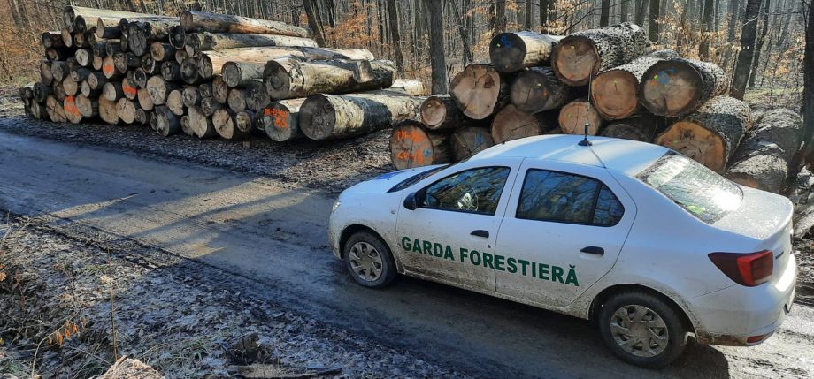 Garda Forestieră Timișoara: 23 sancțiuni contravenționale în 10 zile