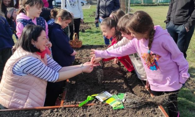 GALERIE FOTO: Copiii au plantat legume și flori în mini-grădina din curtea unită Centrul de Zi-Grădinița PP Dumbrăvița