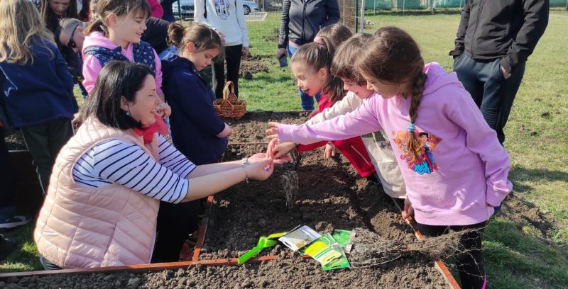 GALERIE FOTO: Copiii au plantat legume și flori în mini-grădina din curtea unită Centrul de Zi-Grădinița PP Dumbrăvița