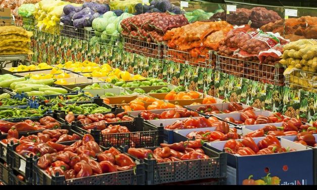 S-a dat startul lucrărilor la primul centru de legume și fructe public din Timiș