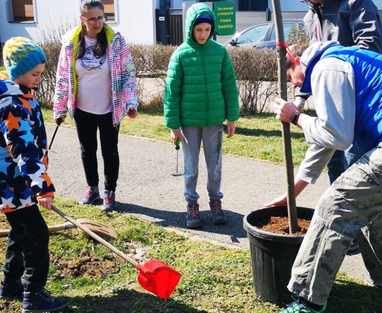 FOTO: Dumbrăvițenii au adoptat peste 80 arbori la prima acțiune de plantare din acest an