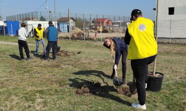 GALERIE FOTO: 45 de arbori au fost plantați în Parcul Grădiniței & Parcul Centrului de Zi din Dumbrăvița