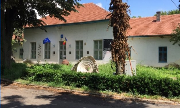 Rotary Cetate va renova sediul UAP Timișoara
