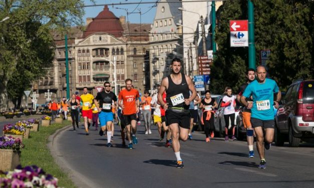 Timotion, la ediția a VIII-a
