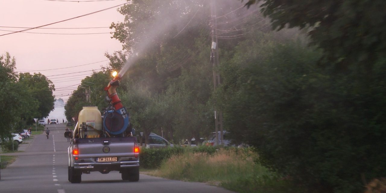 Dezinsecție în DUMBRĂVIȚA – La ce oră se va acționa cu DELTATIM PLUS