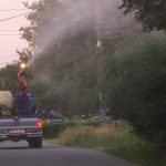 Dezinsecție în DUMBRĂVIȚA – La ce oră se va acționa cu DELTATIM PLUS