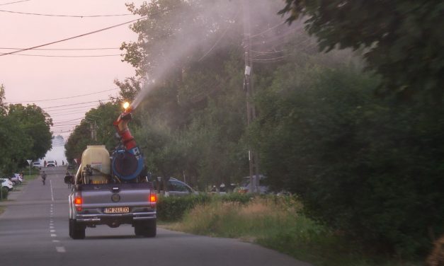 Astăzi începe campania de dezinzecție terestră în Dumbrăvița