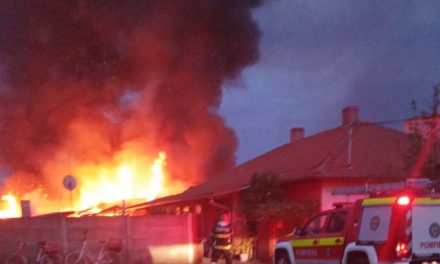 FOTO: Incendiu în Vatra Veche din Dumbrăvița, pompierii au stins cu greu flăcările