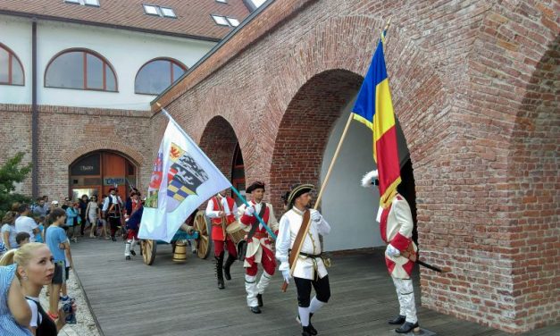 250 de proiecte culturale primesc bani nerambursabili de la Consiliul Județean Timiș