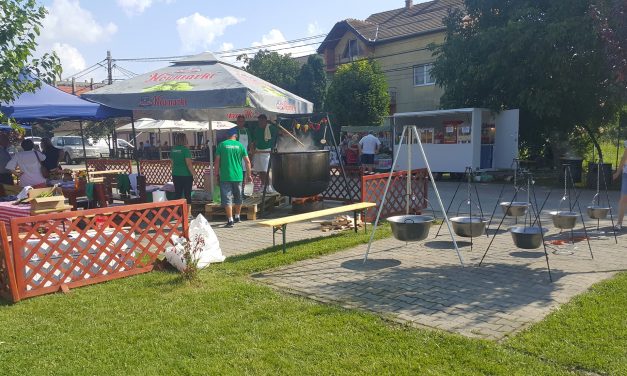 Trei rețete de tocăniță cu care vei avea succes garantat la festival!