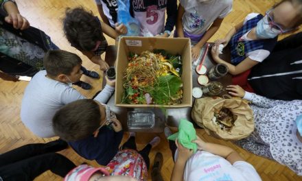 450 de elevi vor fi implicați în activități educaționale în domeniul consumului responsabil, în Timișoara