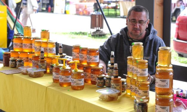 Târgul Mierii Timișoara revine la Agro Village USAMVBT