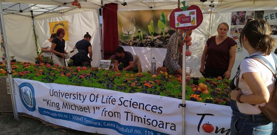 Universității de Științele Vieții „Regele Mihai I” din Timișoara pe podium la Festivalul Internațional de Tomate de la Bruxelles
