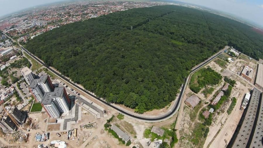 A venit avizul de la Ministerul Mediului. Pădurea Verde se transformă Pădure Parc!