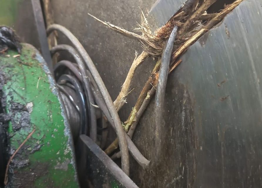 Dumbrăvița Investiții: Îi rugăm pe cetățeni să nu lase fiare printre crengi!