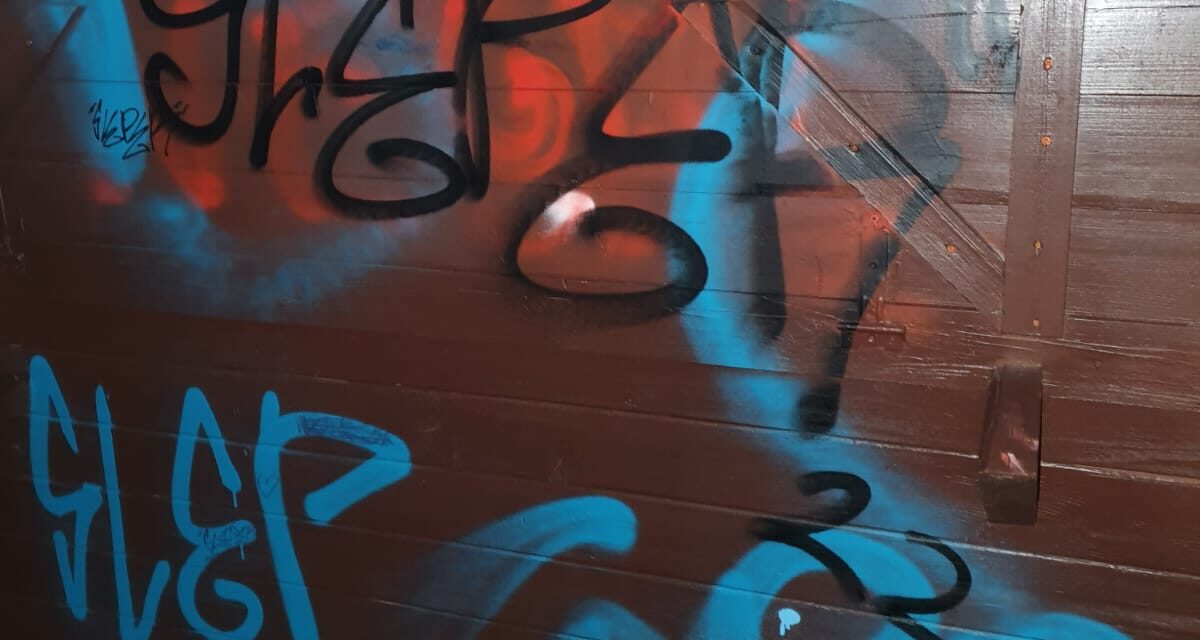 Poliția Locală Dumbrăvița: A fost prins minorul care a vandalizat Parcul Terra