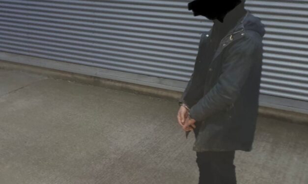 FOTO – Hoț de materiale de construcții, prins în flagrant de Poliția Locală Dumbrăvița