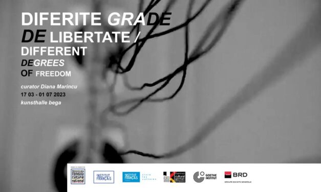 Expoziția ,,Diferite grade de libertate,, la  Kunsthalle Bega