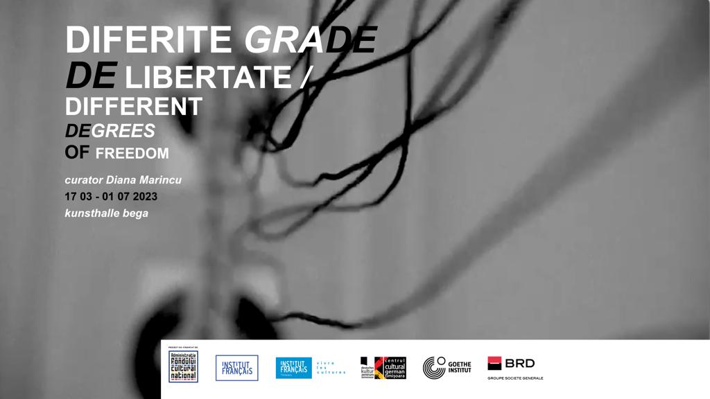 Expoziția ,,Diferite grade de libertate,, la  Kunsthalle Bega