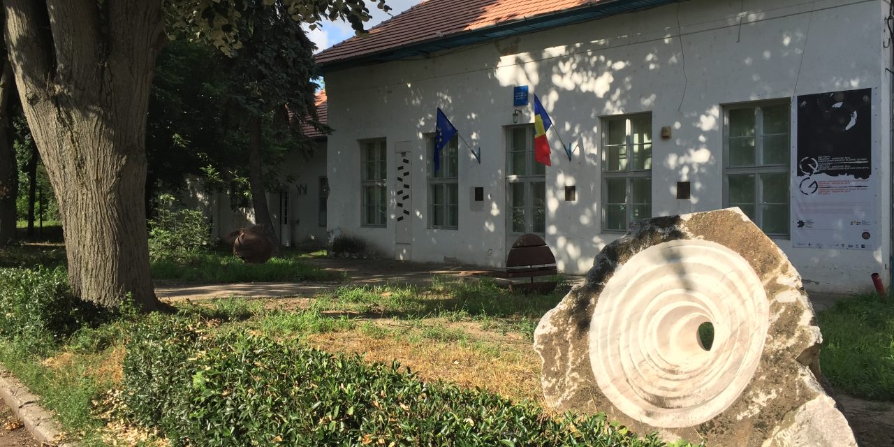 REABILITAREA SEDIULUI UNIUNII ARTIȘTILOR PLASTICI DIN TIMIȘOARA