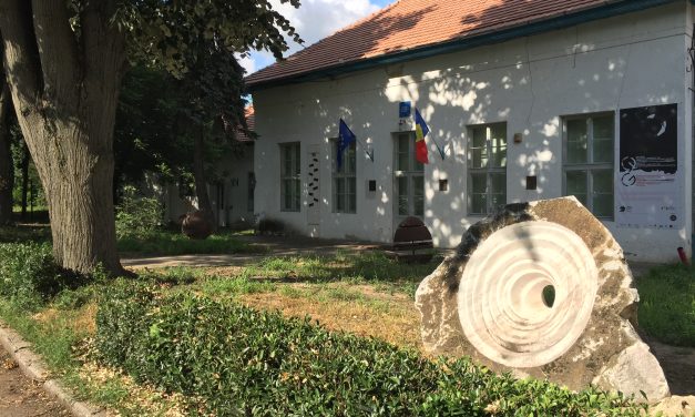 REABILITAREA SEDIULUI UNIUNII ARTIȘTILOR PLASTICI DIN TIMIȘOARA