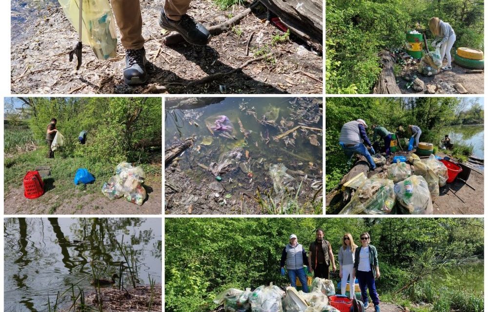 Ziua de Curățenie: Peste 300 de saci de gunoi strânși în Dumbrăvița și în jurul comunei