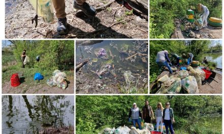 Ziua de Curățenie: Peste 300 de saci de gunoi strânși în Dumbrăvița și în jurul comunei