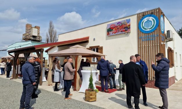 Lângă Dumbrăvița s-a deschis Akademika Market, magazinul Universității de Științele Vieții „Regele Mihai I” din Timișoara – VIDEO