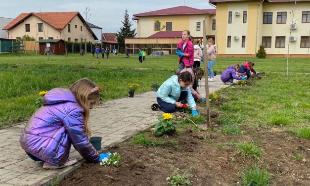 SĂPTĂMÂNA VERDE – Elevii din Dumbrăvița continuă proiectul Micii Exploratori în Grădina de Legume