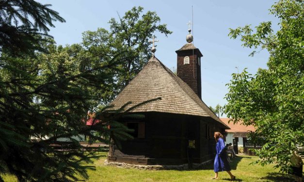 Se deschide cea de-a doua ediție a Parcului Primăverii, lângă comuna Dumbrăvița