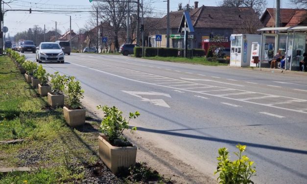 Lărgirea la 4 benzi: Aleșii județeni au votat proiectul tehnic revizuit – Când va fi contractată execuția din Dumbrăvița