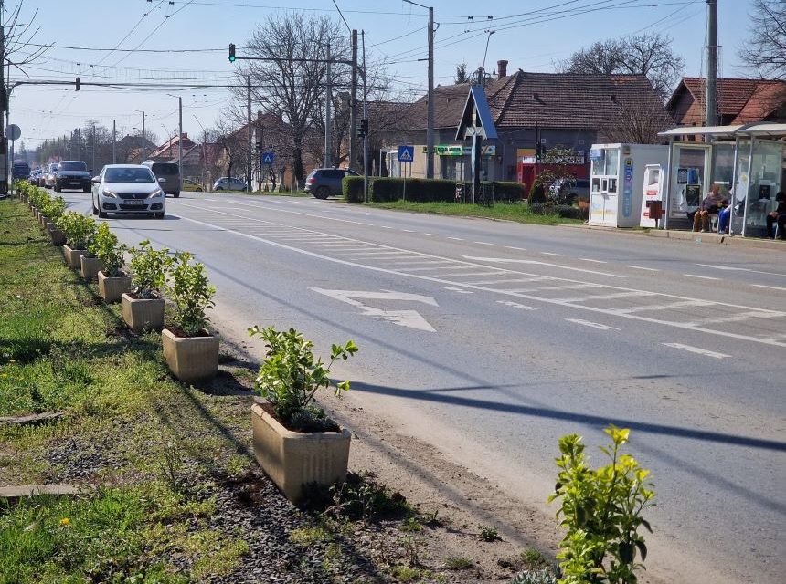 Lărgirea la 4 benzi: Aleșii județeni au votat proiectul tehnic revizuit – Când va fi contractată execuția din Dumbrăvița