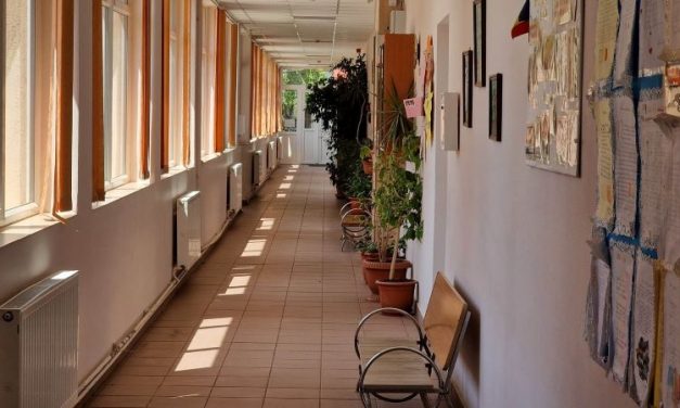 FOTO – Majoritatea cadrelor didactice din Dumbrăvița au respectat GREVA GENERALĂ!