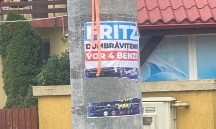 USR Timiș: Liberalii din Dumbrăvița au lipit afișe pe stâlpi fără respectarea legii