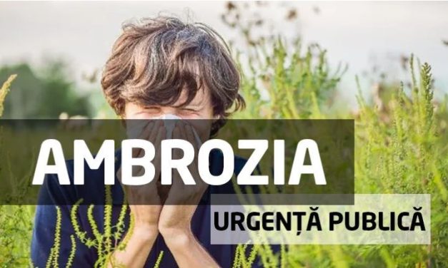 Liberalul Cristian Rusu își continuă proiectul împotriva ambroziei
