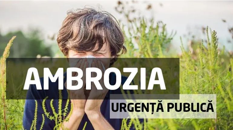 Liberalul Cristian Rusu își continuă proiectul împotriva ambroziei