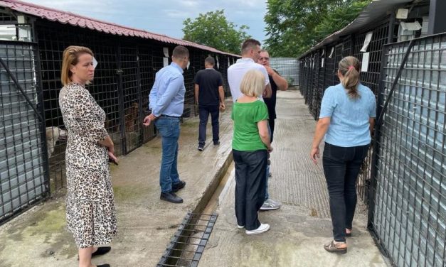 Demersuri importante în direcția rezolvării problemei animalelor fără stăpân – O delegație de consilieri județeni a efectuat o vizită în municipiul Deva