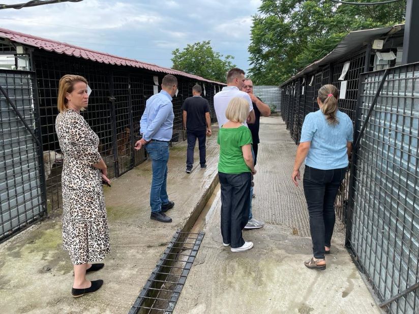 Demersuri importante în direcția rezolvării problemei animalelor fără stăpân – O delegație de consilieri județeni a efectuat o vizită în municipiul Deva