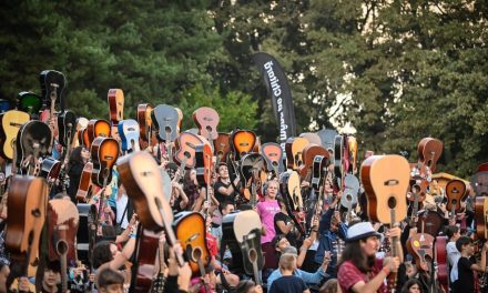 Peste 300 de chitariști din 15 orașe vin la Timisoara Guitar Meeting