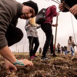 Natura, mai verde și mai bogată – Peste 1000 de persoane au participat la sesiunea de plantare de toamnă organizată de CODRU Festival