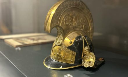 Două expoziții  spectaculoase la Muzeul Național al Banatului