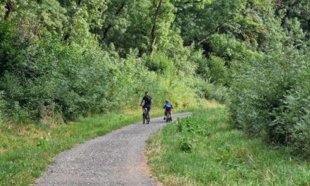 CJ Timiș uită de cei 3 km de pe liziera pădurii, în schimb caută firmă pentru 1800 km de piste de biciclete