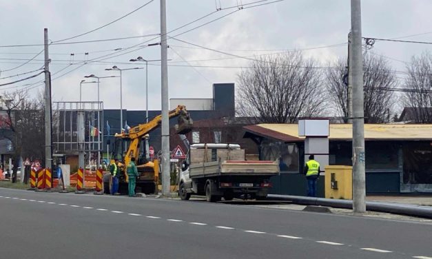 „Dorel” a tăiat un fir electric și a paralizat sudul Dumbrăviței – Răspunsul primit de la reprezentanții Rețele Electrice Banat