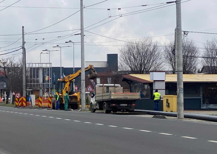 „Dorel” a tăiat un fir electric și a paralizat sudul Dumbrăviței – Răspunsul primit de la reprezentanții Rețele Electrice Banat