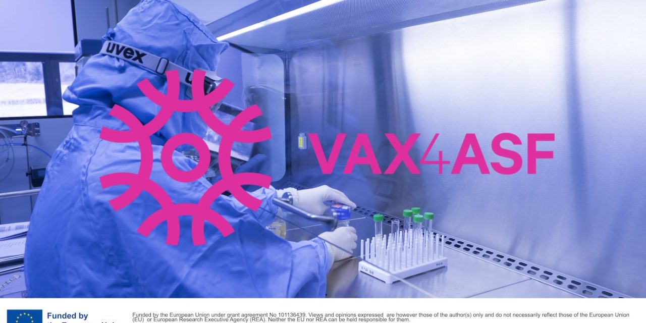 Proiectul european VAX4ASF -New Technologies for African Swine Fever (ASF) / Noi Tehnologii pentru Pesta Porcină Africană (PPA), Partener USV ”Regele Mihai I” din Timișoara, Facultatea de Medicină Veterinară