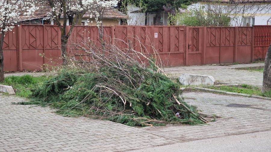 Campania de primăvară – Până duminică, 31 martie, trebuie scoase deșeurile vegetale din Zona 3!