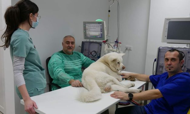 Primul Centru de Hemodializă Veterinară din Vestul țării este la Universitatea de Științele Vieții “Regele Mihai I”