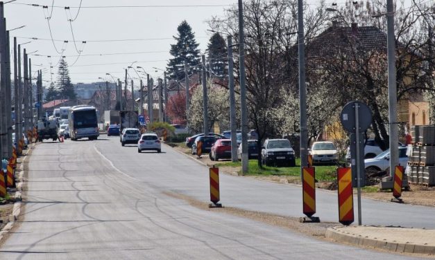 UPDATE: Campania de primăvară – În această noapte se vor colecta crengile de pe strada Petőfi Sándor