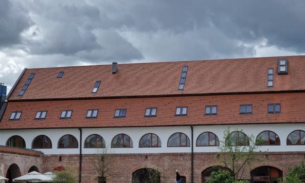 Grevă japoneză declanșată de angajații Muzeului Național al Banatului